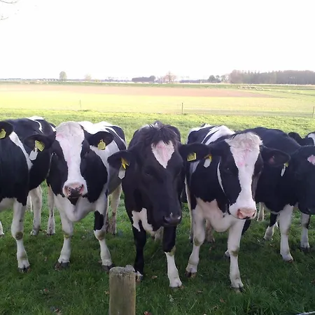 Bed & Breakfast Boerderij Wijtvliet