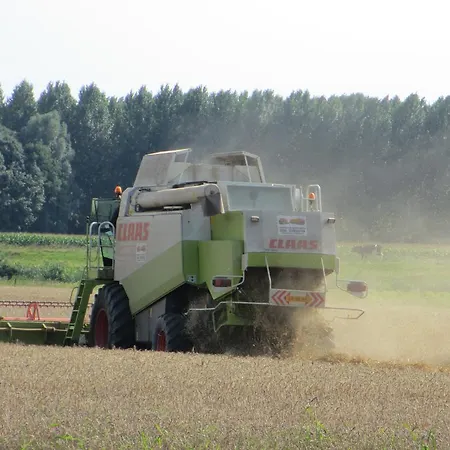 Boerderij Wijtvliet