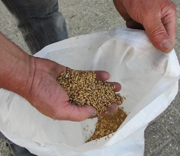 Boerderij Wijtvliet فندق مبيت وإفطار