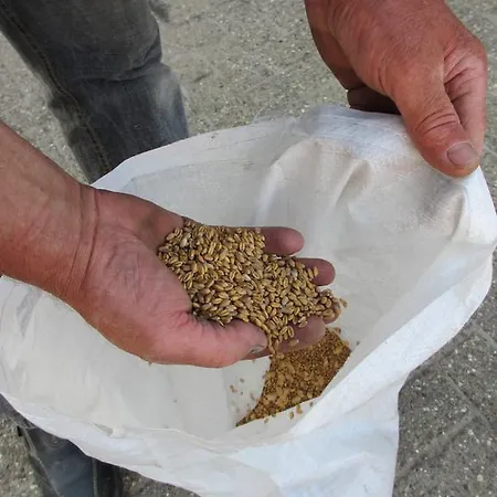 Boerderij Wijtvliet Bed & Breakfast